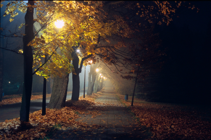 500pxdownload.com-4605263