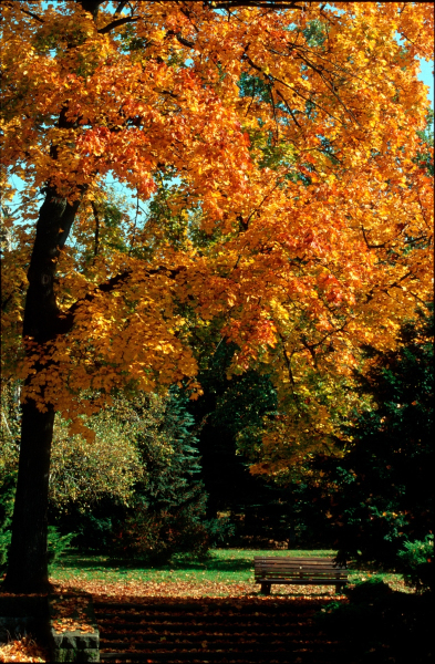 500pxdownload.com-4891193