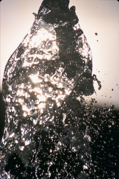 500pxdownload.com-4626821