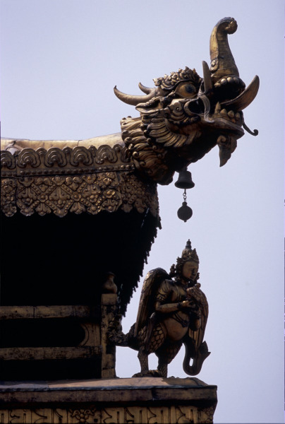 500pxdownload.com-4406739