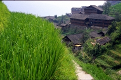 500pxdownload.com-4317251